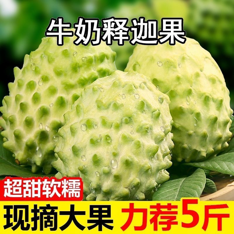 凤梨牛奶释迦果新鲜应季