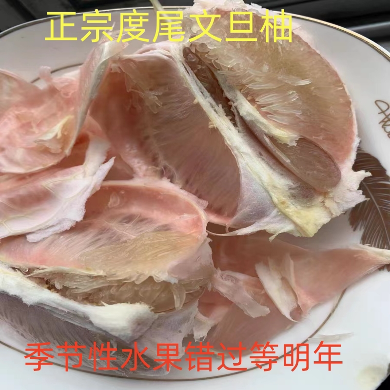 正宗老树福建莆田仙游度