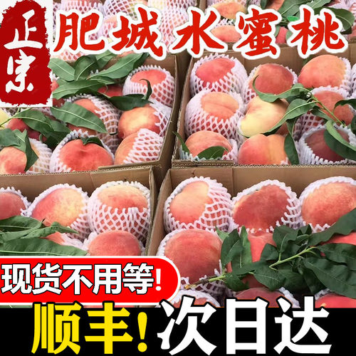 肥城水蜜桃新鲜4.5肥桃应季