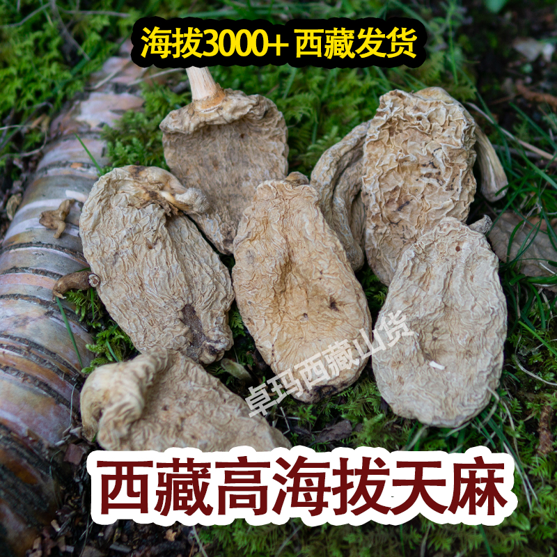 西藏天麻西藏高海拔正宗西藏天麻500g中药切片打磨粉头疼晕藏天麻-封面