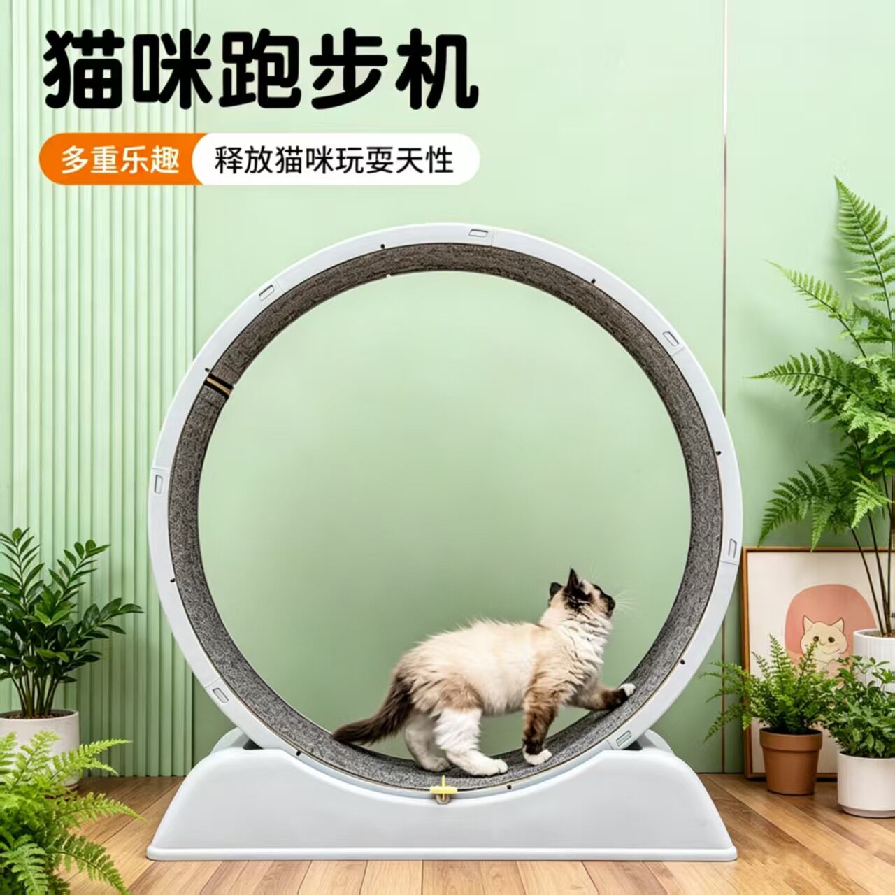 新款宠物猫跑步机猫咪跑步静音滚轮健身支架宠物玩具耐磨滚筒