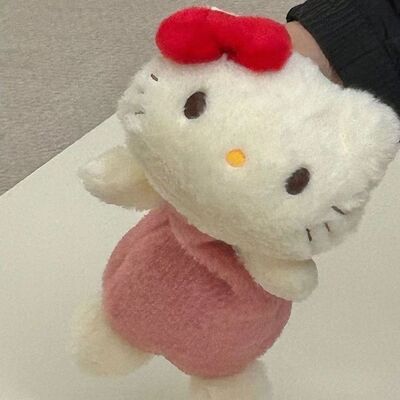 可爱卡通毛绒kitty笔袋动物玩偶大容量公仔娃娃