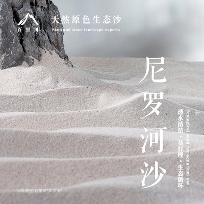 尼罗河沙化妆沙鱼缸造景天然净水底砂雨林沙草缸南美专用细沙河沙