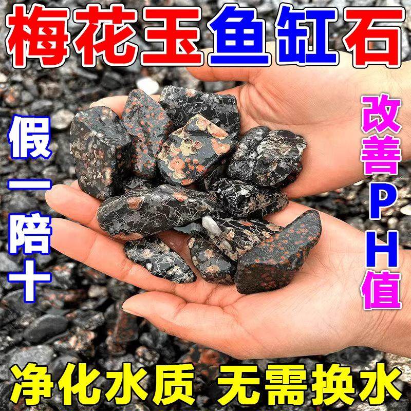鱼缸净化水质过滤安山梅花玉