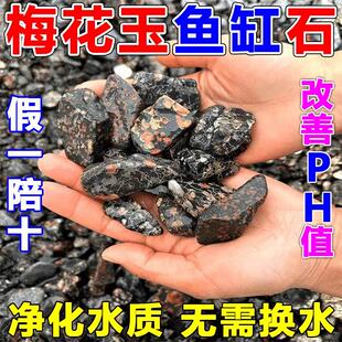 鱼缸净化水质过滤底部砂石安山梅花玉原石天然溪流铺底底砂鱼缸石