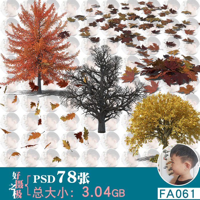 枯树秋天落叶秋季树木植物psd免抠图片园林景观设计合成用ps素材