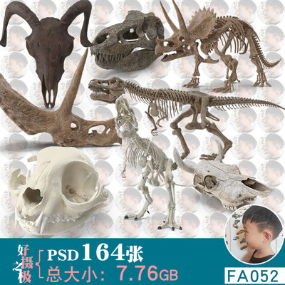恐龙动物骨架骸骨头骨免扣PSD免抠图片设计合成美术参考PS素材