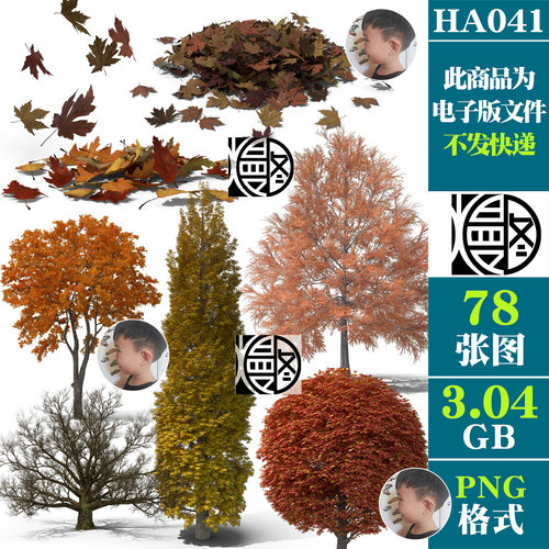 枯树秋天落叶秋季树木植物PSD免抠图片园林景观设计合成用PS素材