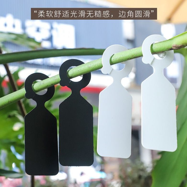 苗木悬挂式植物记号分类环扣色卡