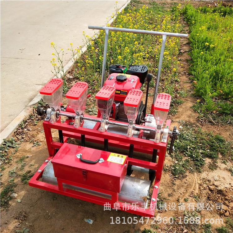 高粱播种机图片 谷子蔬菜大豆播种机 二行四行手推式播种机型号