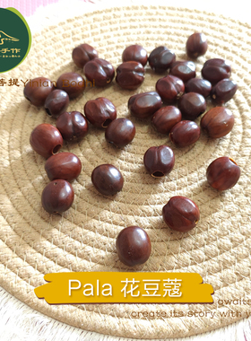 精选Pala花豆蔻手摇铃果壳风铃diy材料包手工挂件植物果壳批发