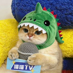 跨境网红宠物猫咪恐龙头套冬天保暖毛绒小猫帽子可爱搞怪摆拍头饰