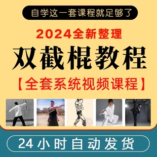 U盘双节棍教学视频自学教程基础入门动作演示两节棍实战棍法优盘