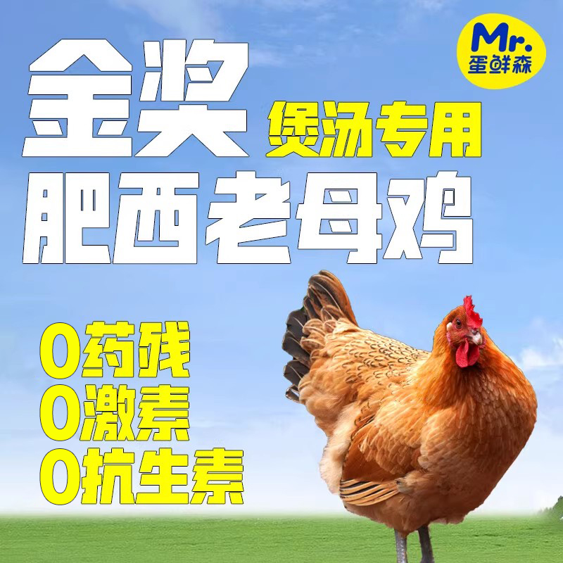 蛋鲜森金奖肥西老母鸡散养