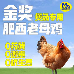 蛋鲜森金奖肥西老母鸡散养一年以上净膛含黄油1只装2斤土鸡整鸡