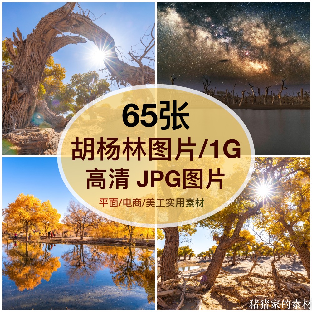 高清图库 金黄胡杨林图片素材自媒体抖音手机装饰绘画摄影壁纸