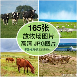 高清图库高山草原放牧牛群羊群牧场马图片素材装饰绘画海报素材