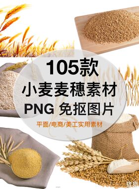 小麦穗燕麦片麦粉麦粒png图片手绘免抠透明ps合成设计插图素材
