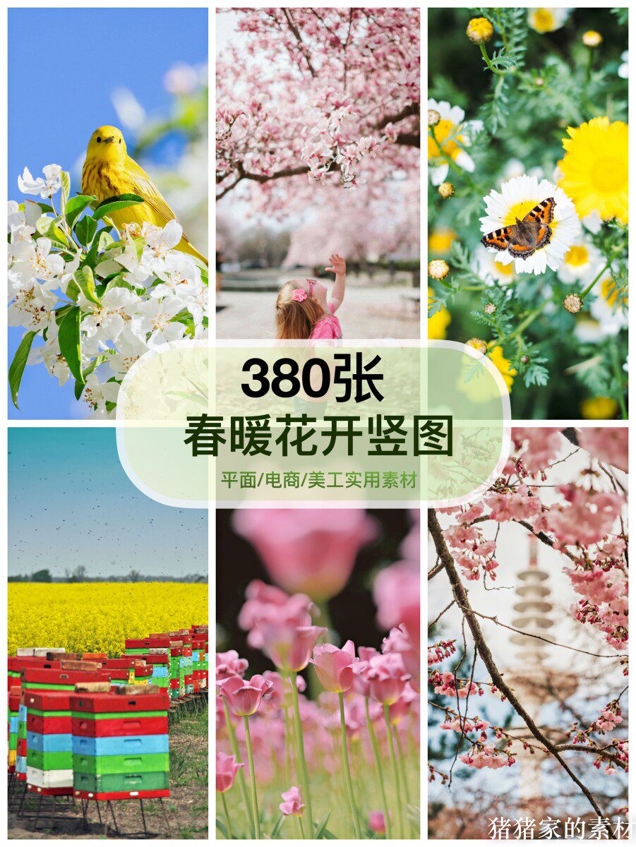 高清竖图片 春天面朝大海春暖花开海棠自媒体抖音PS设计壁纸素材图片