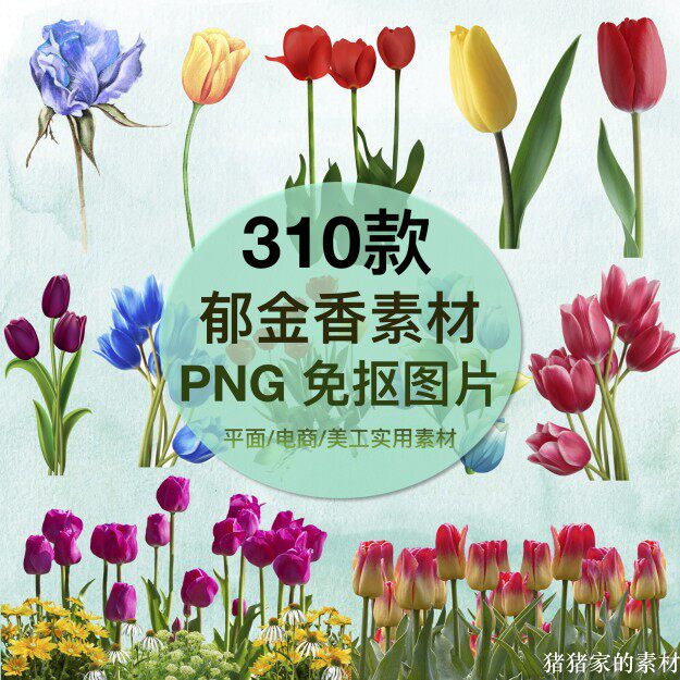 郁金香图片 手绘水彩卡通郁金香png图片免抠 透明ps插图设计素材