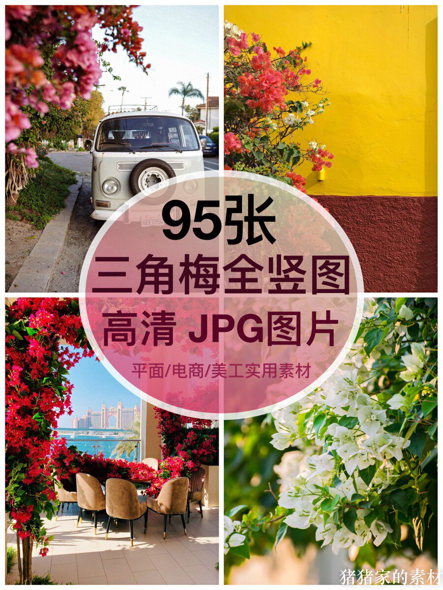 高清全竖图 三角梅图片多花花朵自媒体抖音图文手机绘画壁纸素材图片