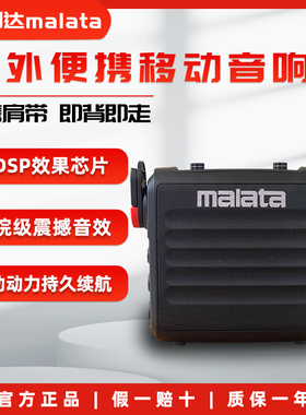 万利达（Malata）2025年新款M+9165户外便携式小型大功率蓝牙音响