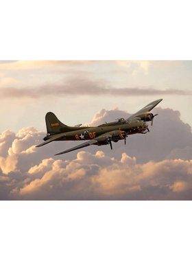 B17飞行堡垒数字油画cioioil