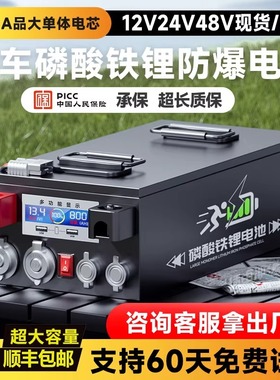 宁德磷酸铁锂电池12V48伏户外大单体电芯房车专用大容量储能电源