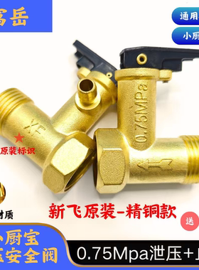 新飞小厨宝4/6升/7升/10升侧出水口4分泄压止回安全阀黄铜，0.65