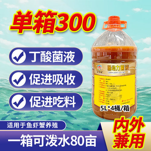 肠动力菌液丁酸梭菌水产用