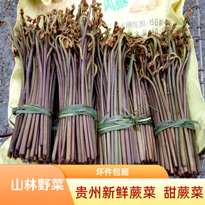 黔东南野生新鲜蕨菜现摘下饭