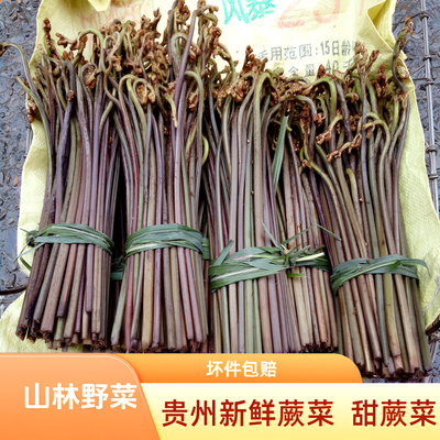 黔东南野生新鲜蕨菜现摘下饭