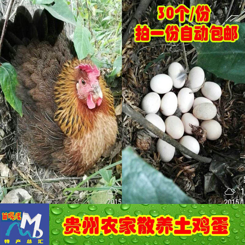 30个包邮贵州土鸡蛋散养本地鸡蛋食用月子鸡蛋黔东南特产小香鸡