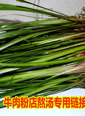 贵州新鲜山奈三奈三萘食用香料