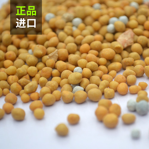 进口奥绿A2长效缓释肥高磷高钾颗粒肥多肉球根绣球兰花绿植通用