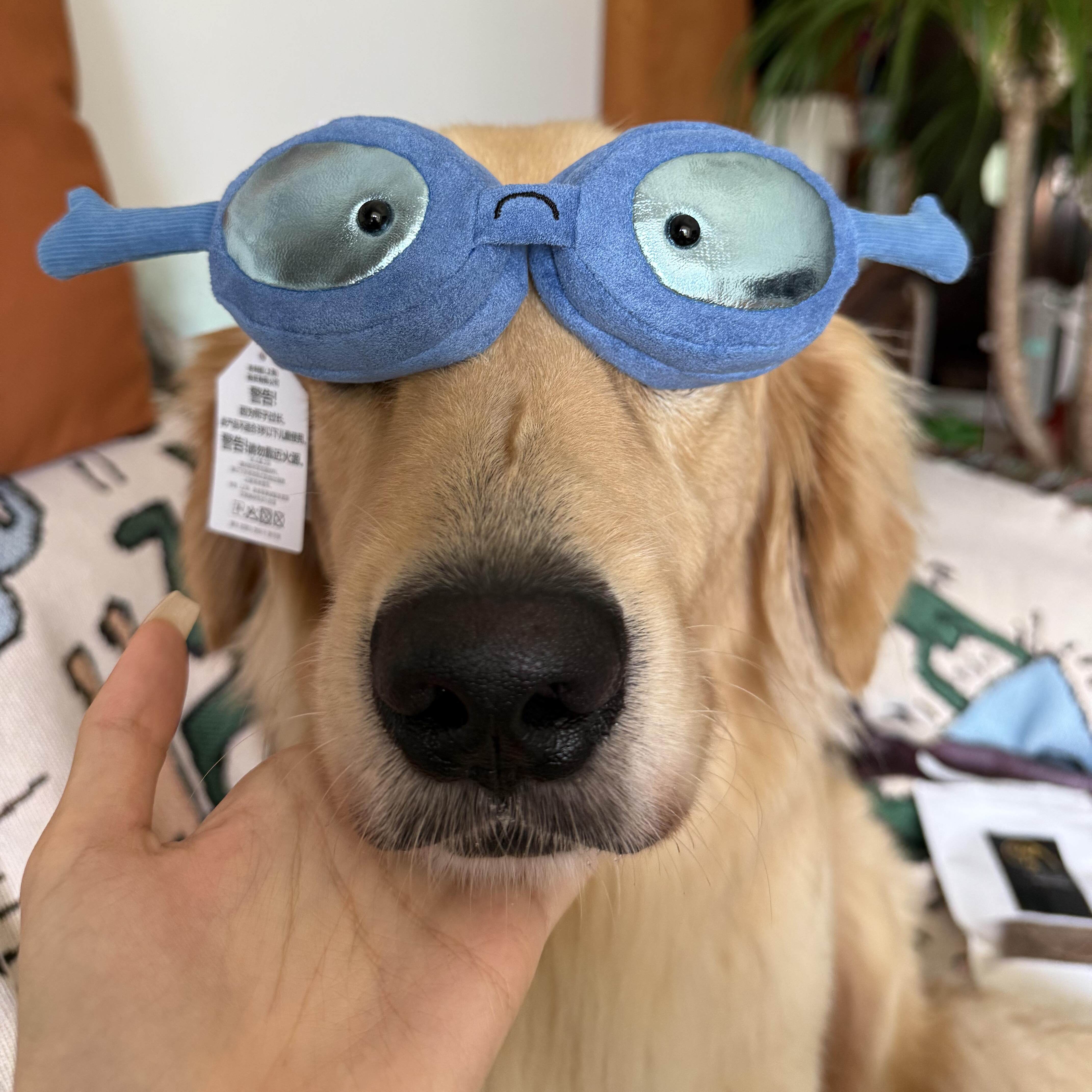 JELLYCAT趣味游泳镜毛绒玩具