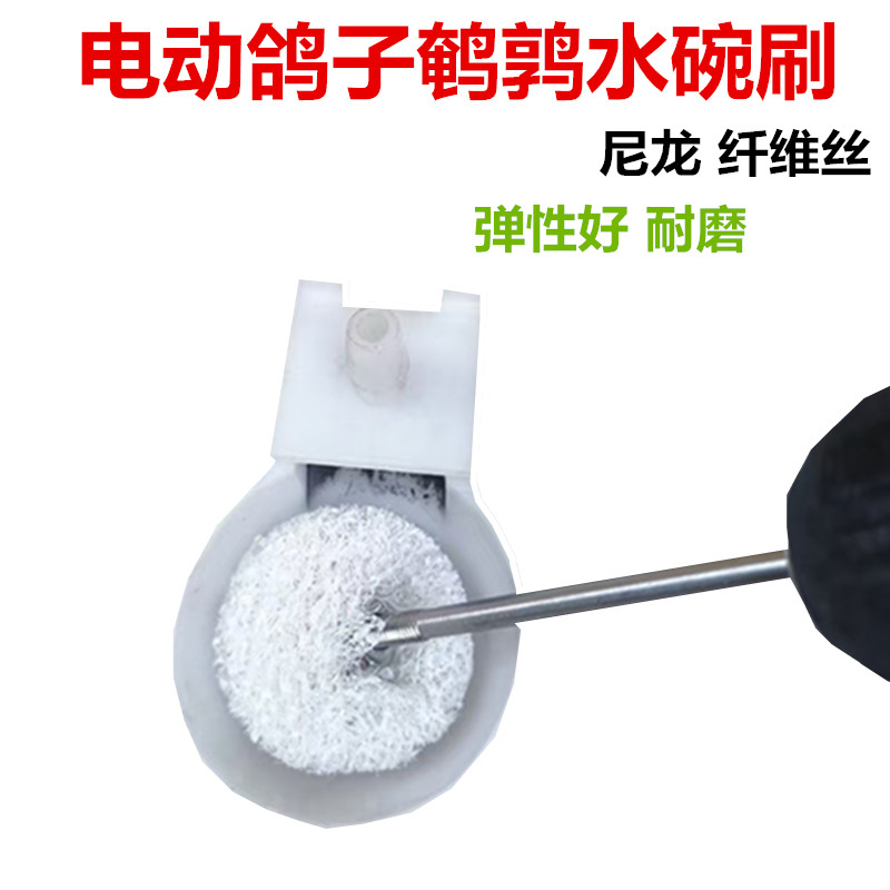 鸽子饮水杯电动清洁刷头鸟鹦鹉鹌鹑水碗自动饮水器球形清洗毛刷