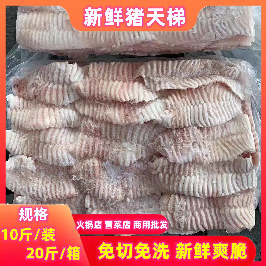 冷冻新鲜猪天梯 猪牙板 猪天堂火锅食材猪牙板猪牙梗  净重20斤
