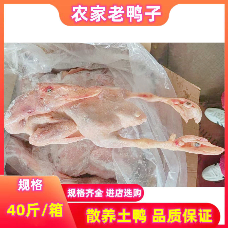 新鲜老鸭 老种鸭6只7只可选 整箱39斤正宗老鸭煲汤饭店商用食材,水产肉类/新鲜蔬果/熟食,鸭肉/鸭肉制品,淘宝优惠券,粉丝福利购,淘宝优惠卷