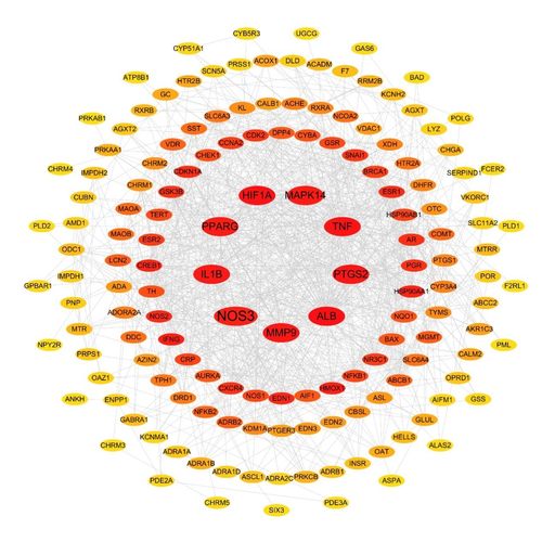 网络药理学,分子对接,分子动力学模拟,提供全部数据,可复刻.