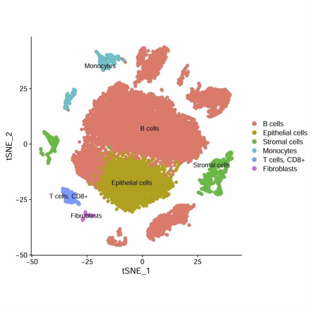 GEO数据库 单细胞测序在eQTL和pQTL数据挖掘 生物信息分析
