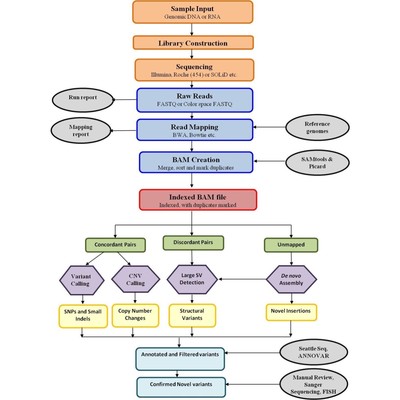 全基因组测序分析，超算系统使用 外显子测序分析 GWAS
