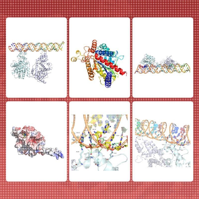 Gromacs amber lammps 分子动力学模拟 分子对接MD计算 代算 代做