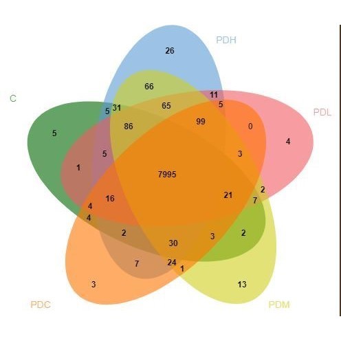 生信分析辅导GBD/NHANES/CHARLS数据挖掘医学sci发文