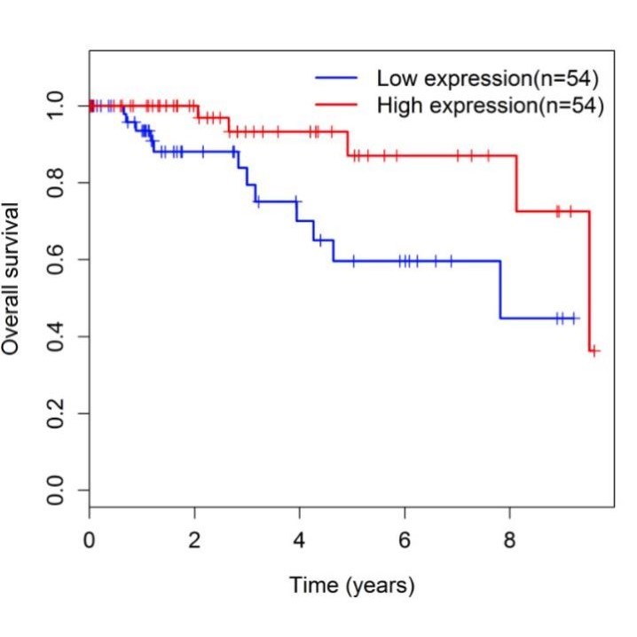 生信分析TCGA GEO数据库挖掘单细胞测序转录组分析自测序数据