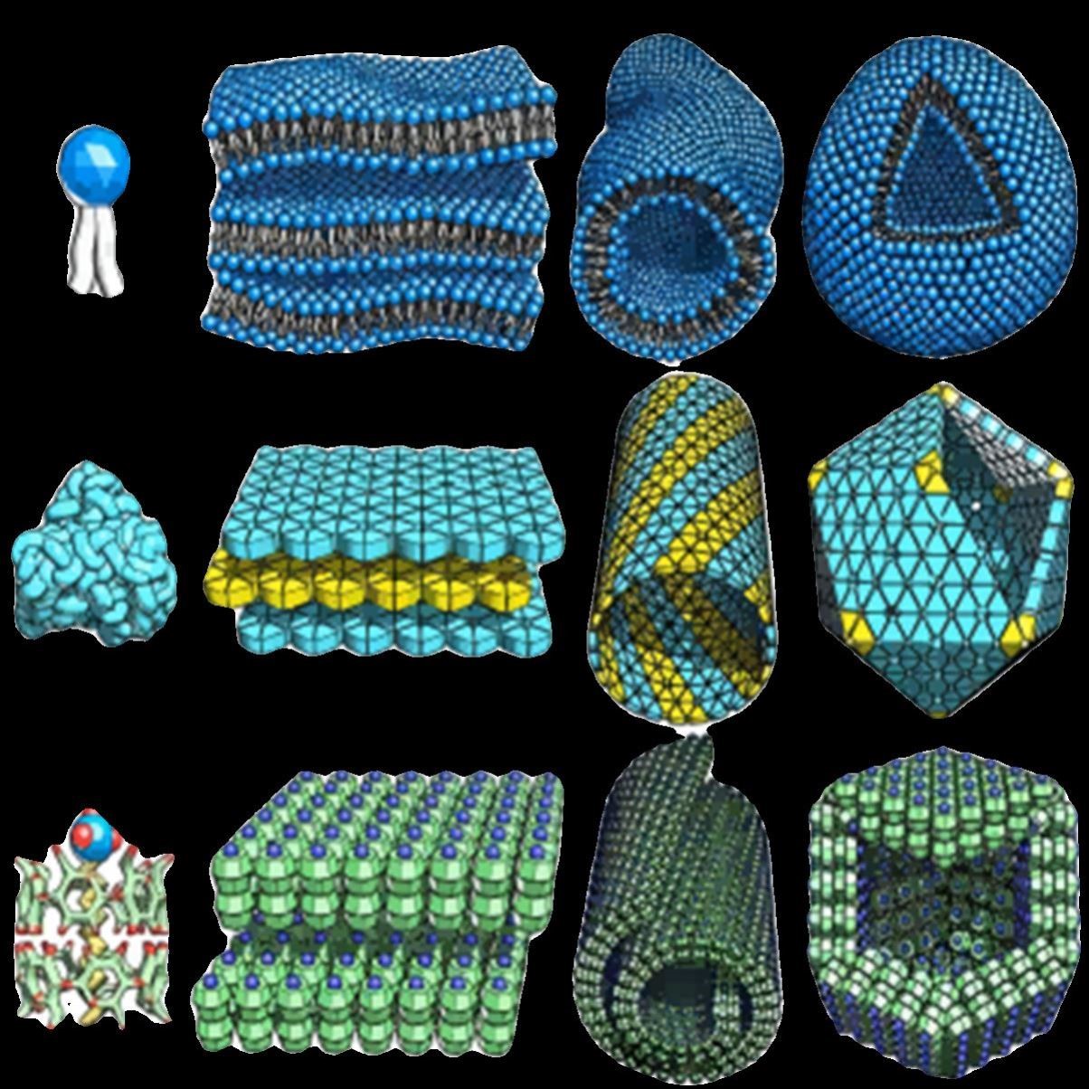 Lammps/Gromacs,Amber,Autodock,薛定谔代做分子对接动力学模拟
