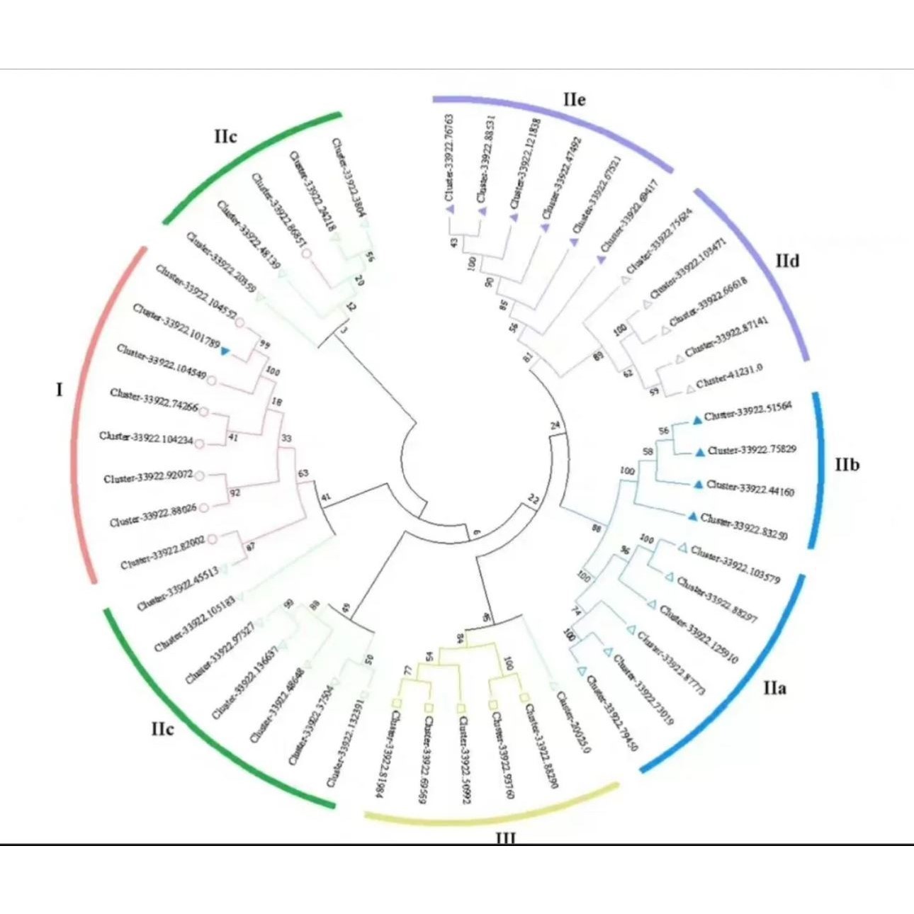网络药理学 中药复方代做 分子对接 医学科研生信分析 SCI2-5分
