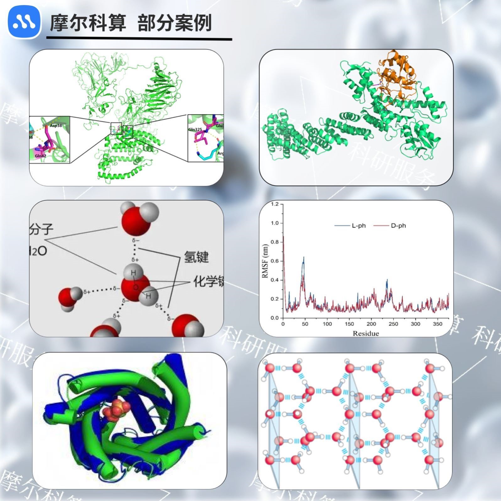 分子对接 md 蛋白对接互作 gromacs vasp gaussian lammps amber