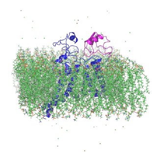 gromacs结晶MD分子动力学模拟lammps划痕仿真势函数AutoDock