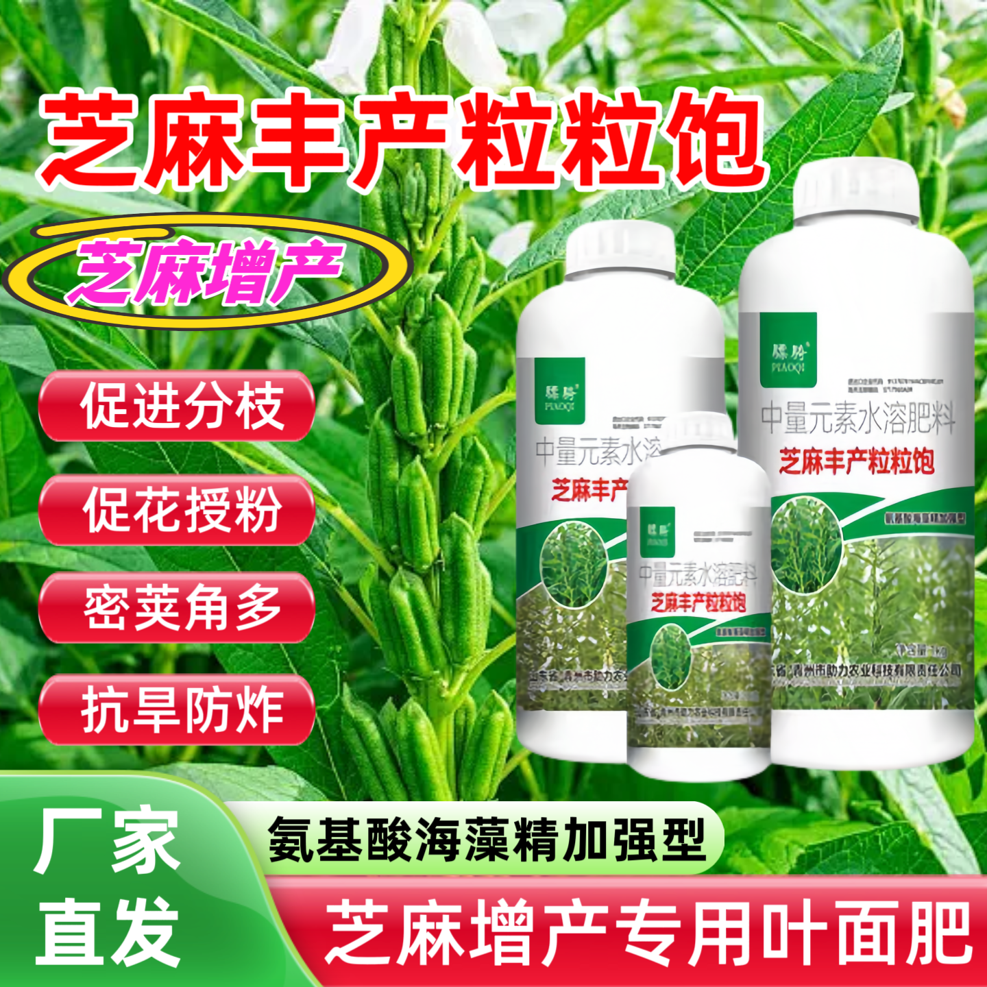 正品芝麻丰产粒粒饱高产芝麻专用叶面肥促进分蘖增产水溶肥料骠骑